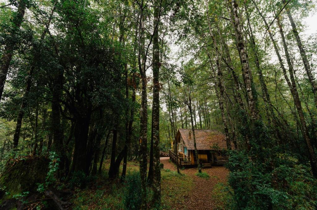 Huilo Huilo Cabañas del Bosque photo 3