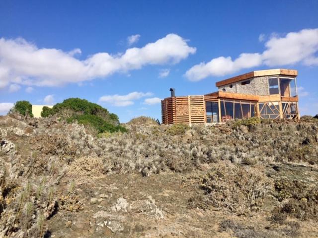 Loco´s Home photo 2