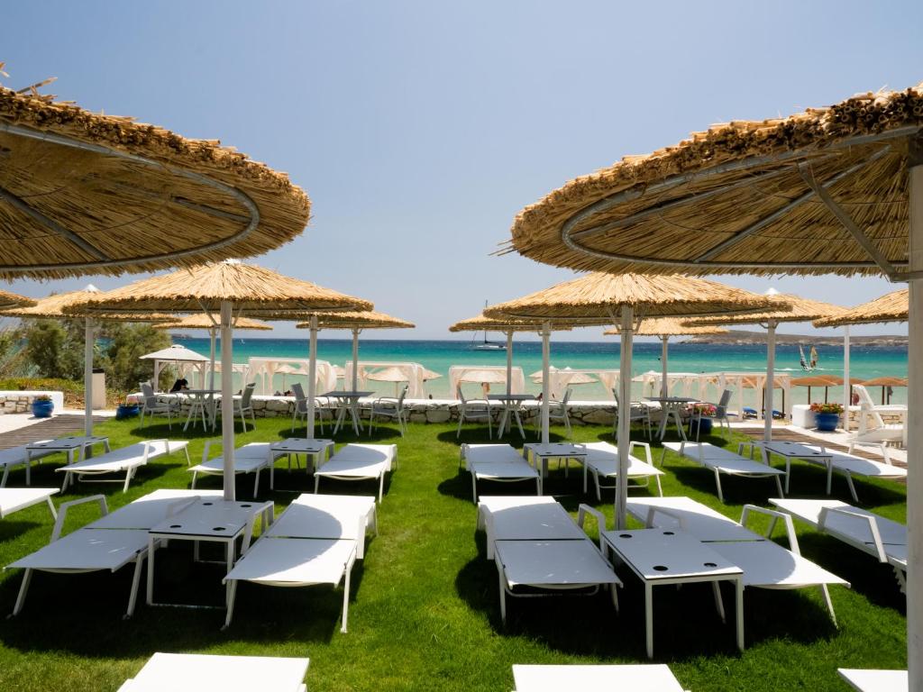 Amaryllis Beach Hotel photo 4