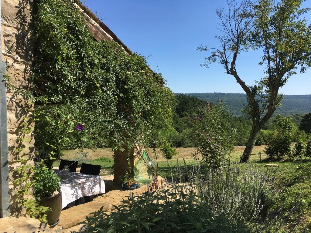 Bolara 60: the Cottage photo 2