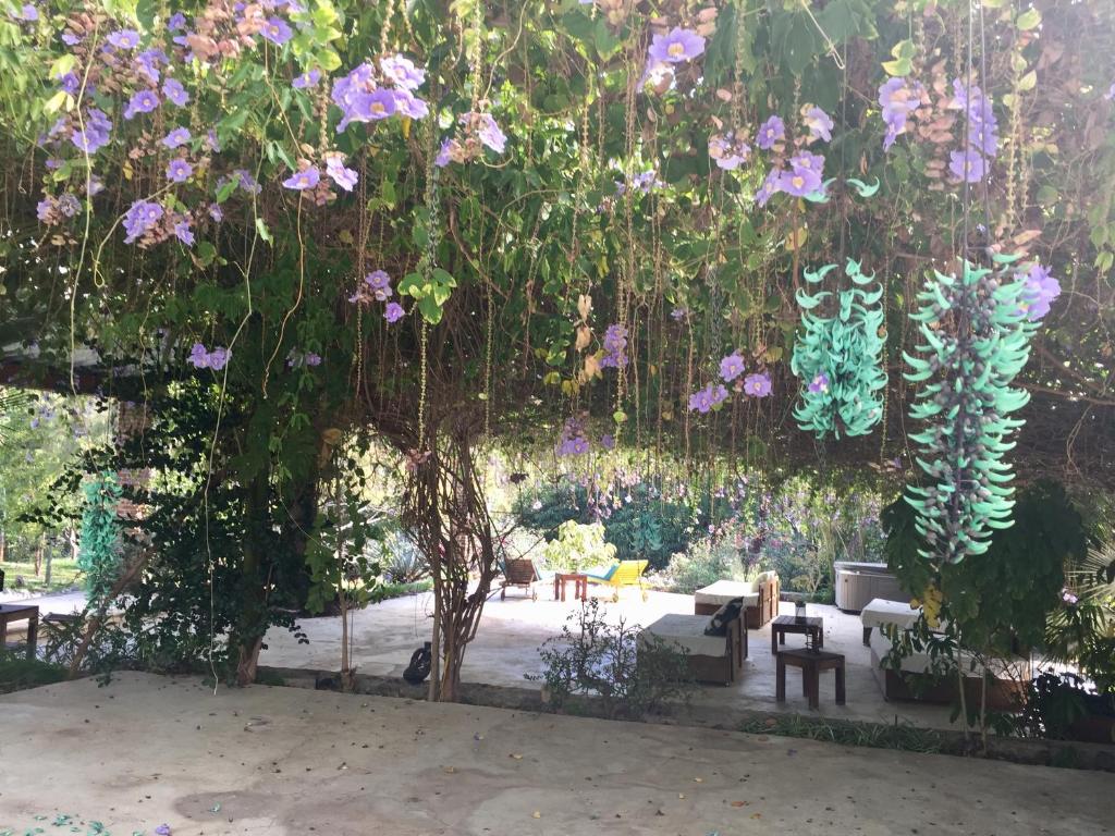 Los Naranjos Hotel Boutique photo 3