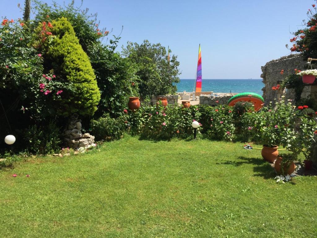 Asterias Studios & Apartments photo 4
