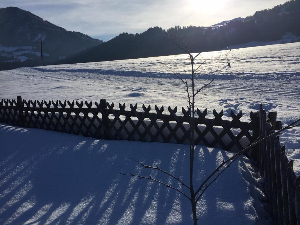 Wohlfühlchalet Tirol photo 3