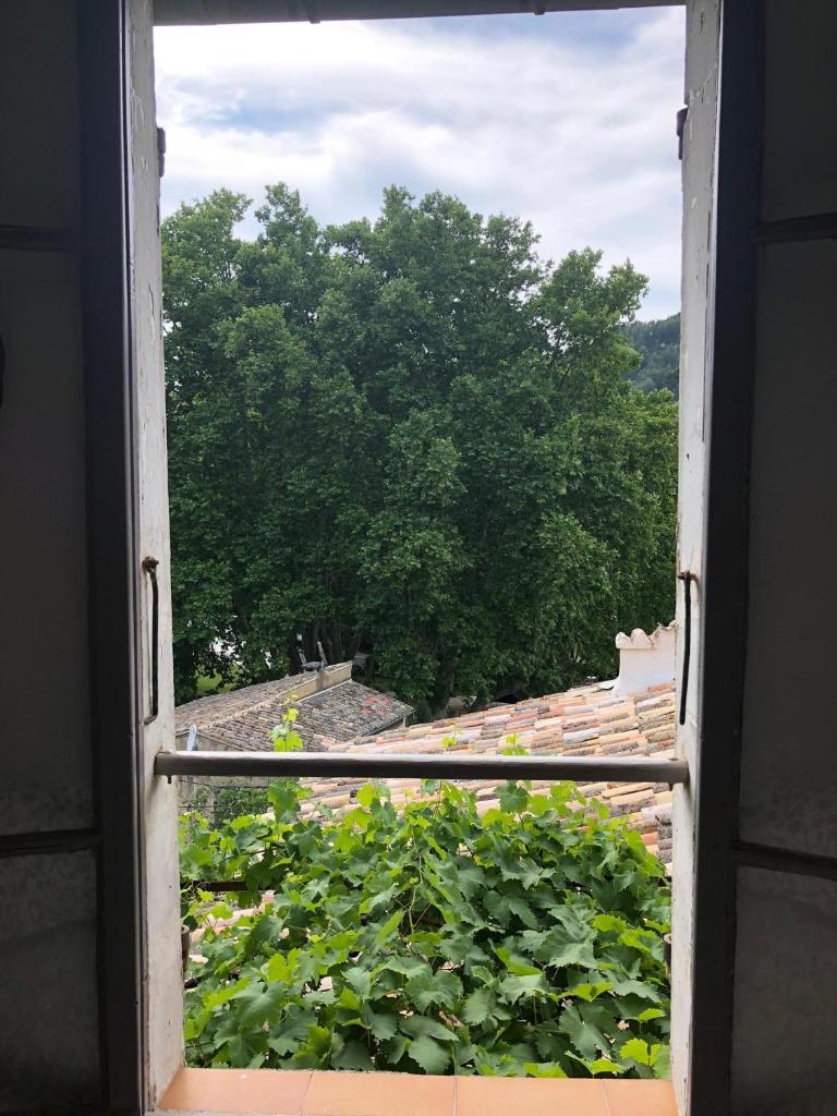 Fontaine-de-Vaucluse : maison avec vues photo 4