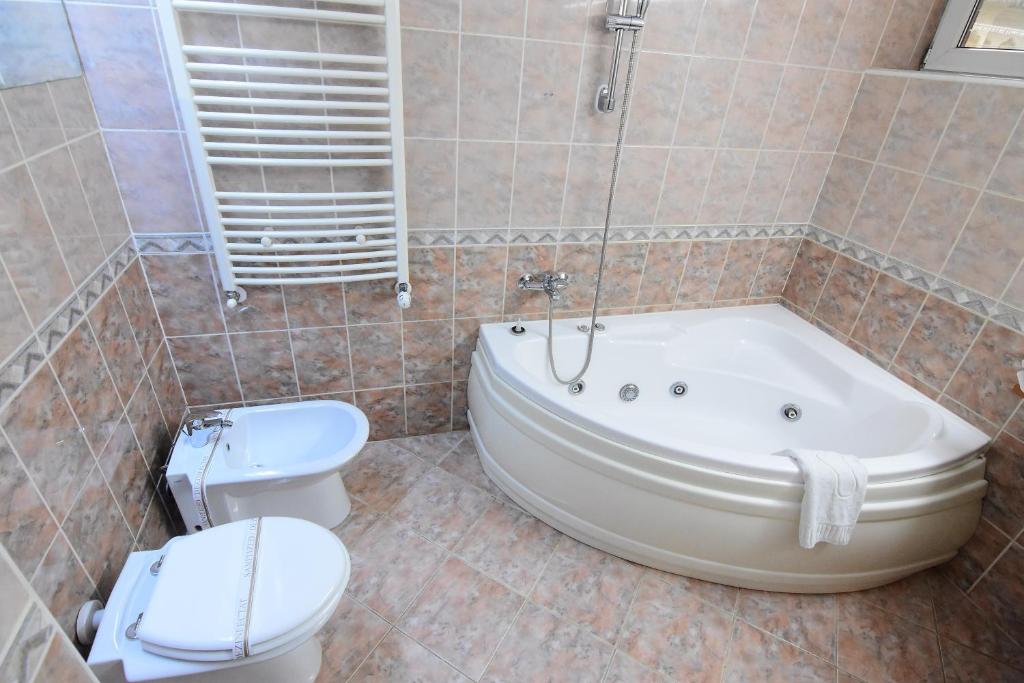 Двухместный (Представительский двухместный номер с 1 кроватью), Hotel Armonia