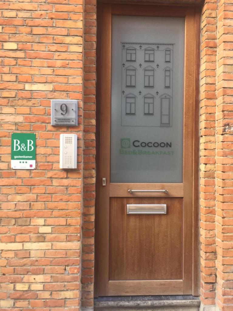 @Cocoon photo 4