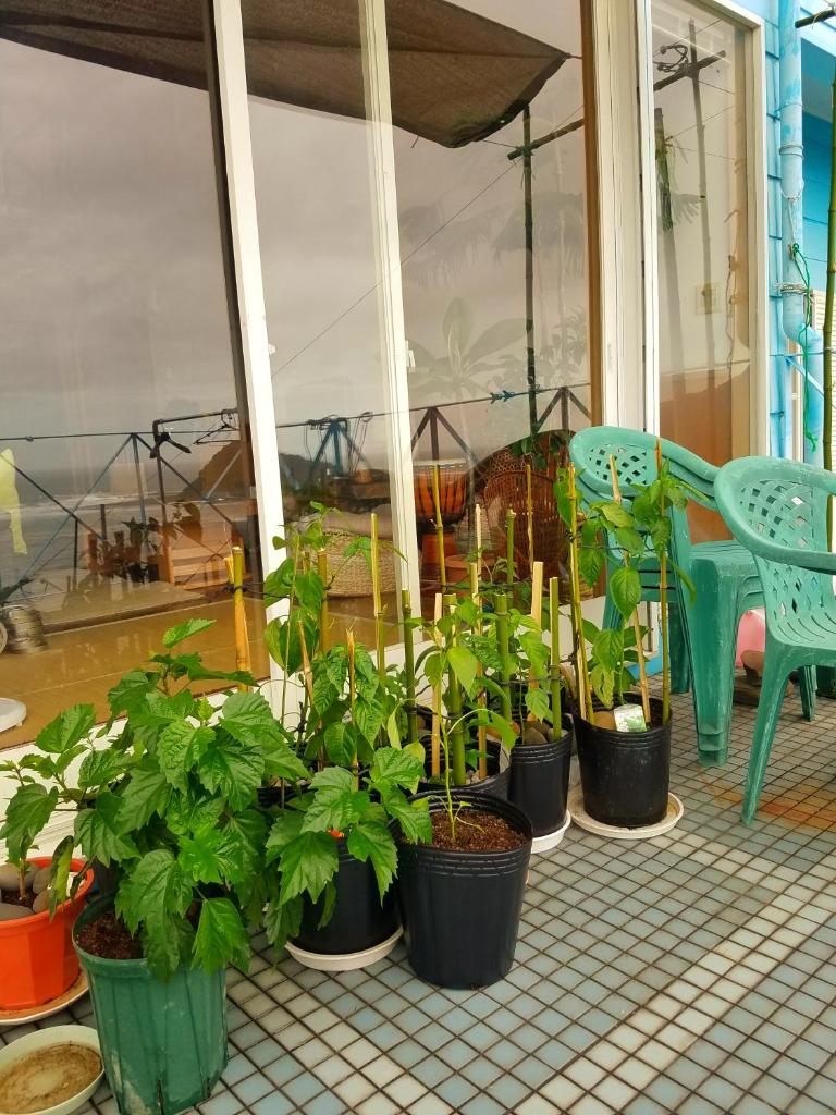 Ocean Home Guest House photo 4