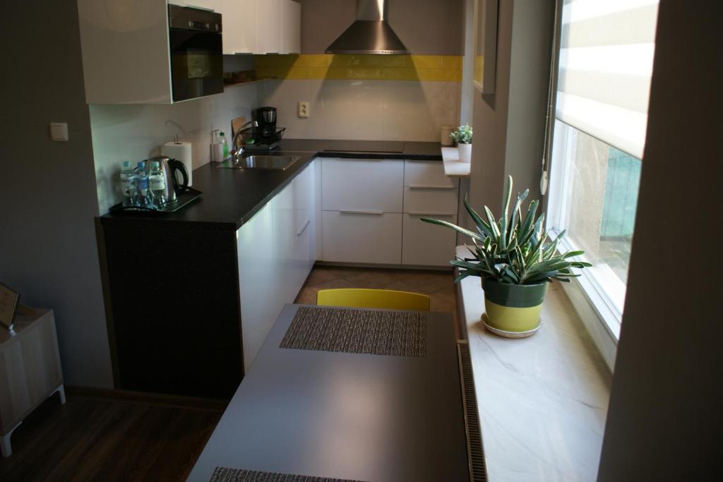 Friendly Apartments - Krakow photo 2