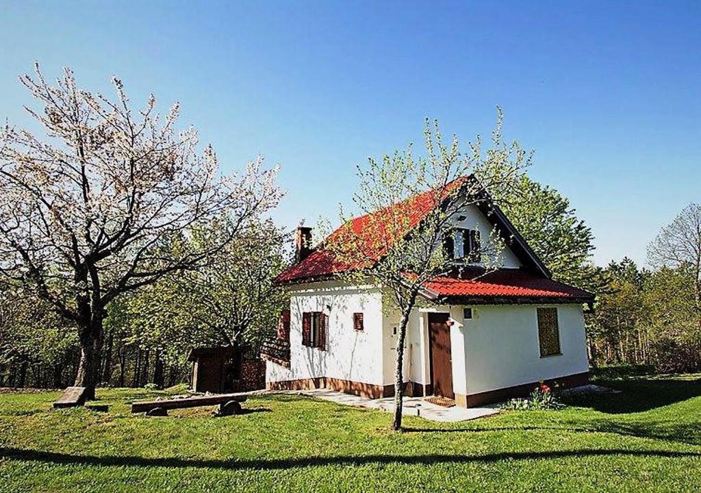 Holiday Home Coprnička Hiša photo 3