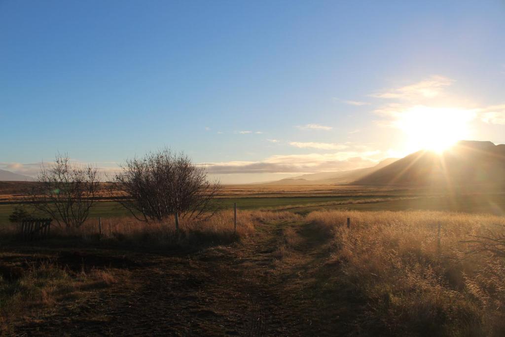 Syðri-Þverá photo 3