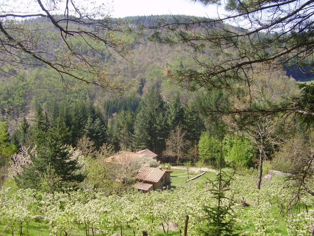 Casale Camalda photo 4