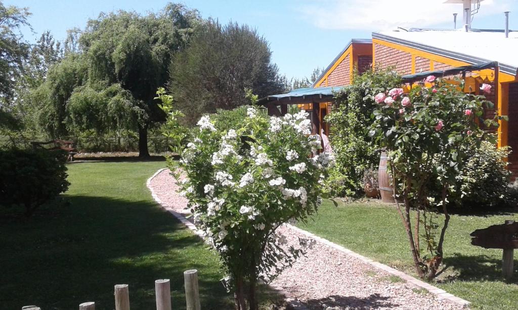 La Martina Casa de Campo photo 4