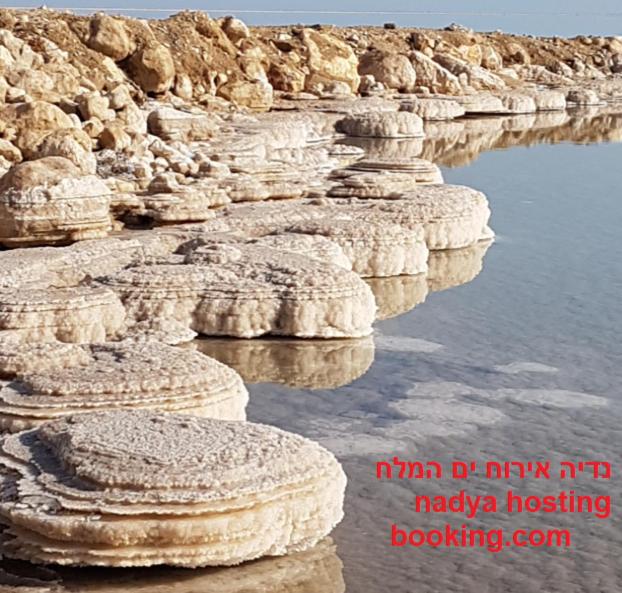 Nadia Hosting Dead Sea photo 3