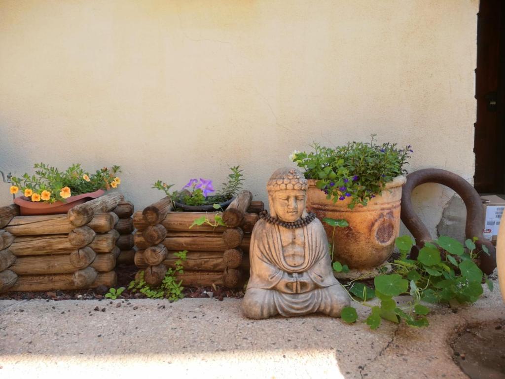Red Sea Garden Apartment photo 2