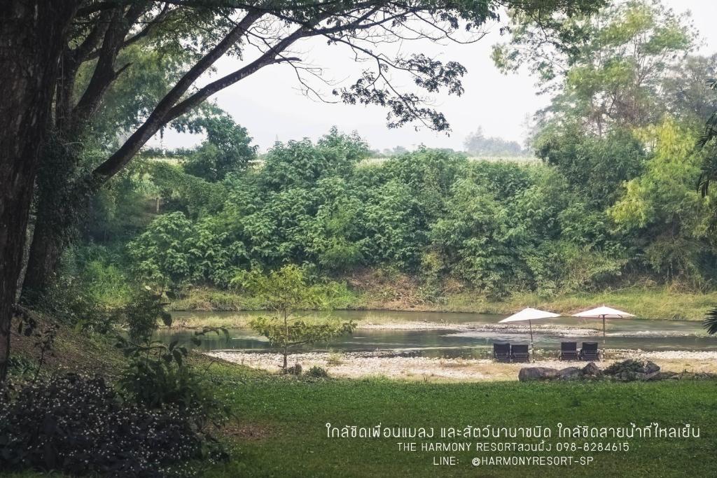 The Harmony Resort photo 2