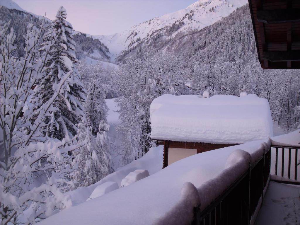 Le nid d'aigle photo 1