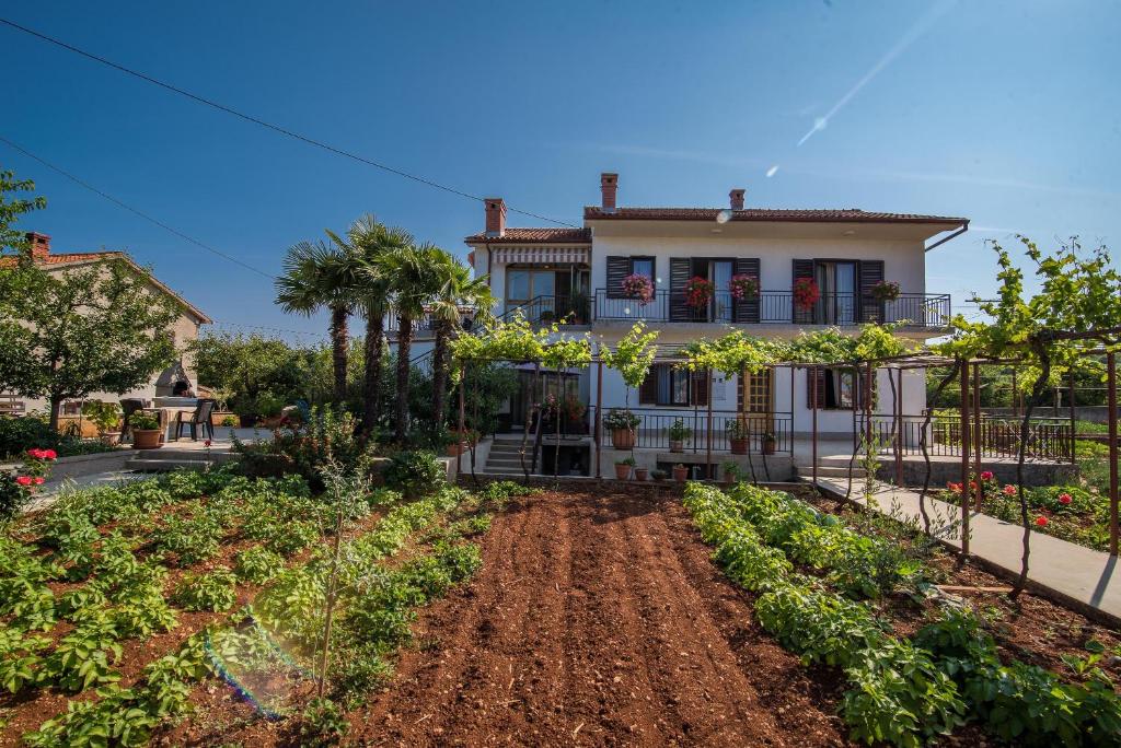 Apartman Ana photo 3