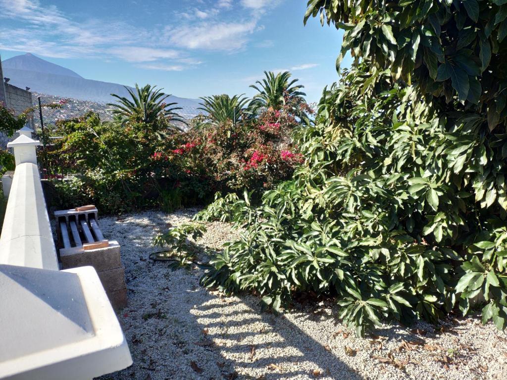 Villas Norte Piscina privada climatizada photo 2