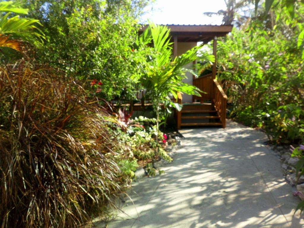 The Pool House photo 3