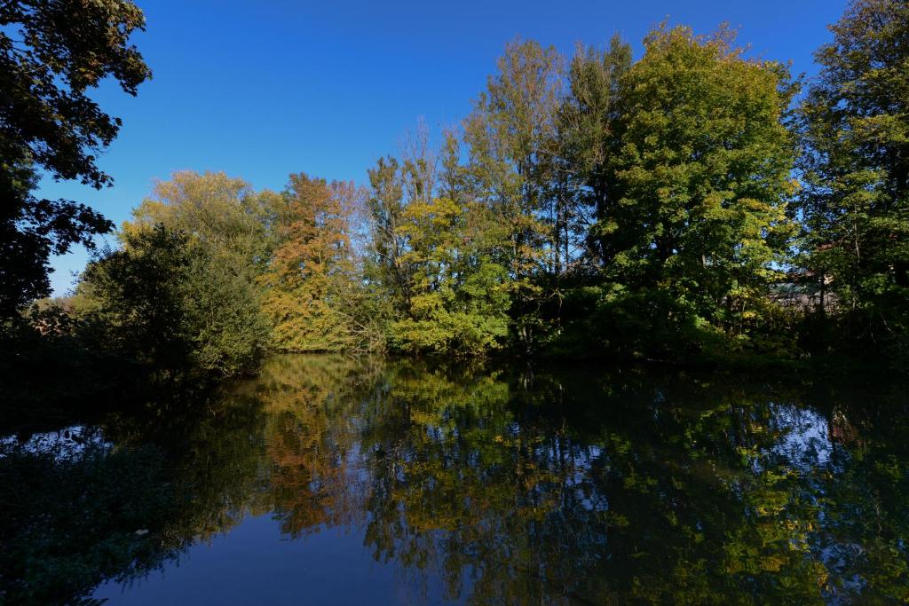 Ô jardin de boutancourt photo 3