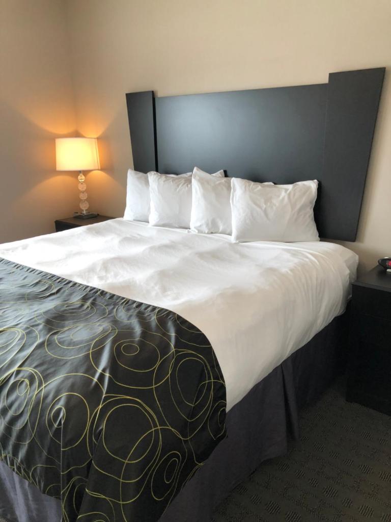 Okoboji Inn & Suites photo 3