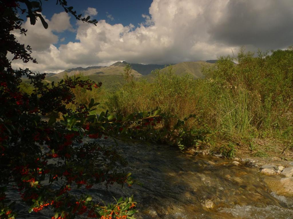 Samsara Traslasierra photo 1