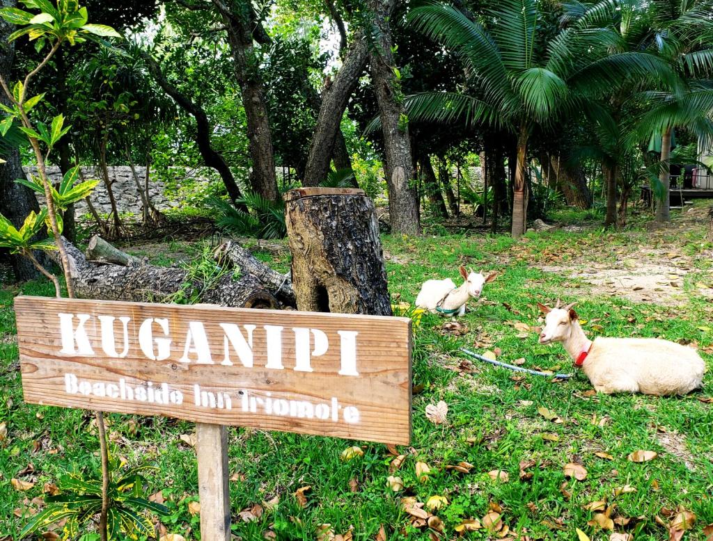 Kuganipi Beachside Inn Iriomote photo 4