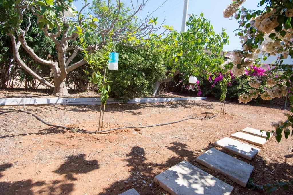 THE BOUCAMVIGLIA BEACH HOUSE photo 4
