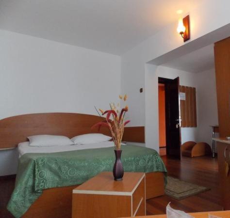 Двухместный (Стандартный двухместный номер с 1 кроватью), Hotel Amadeo with bathroom
