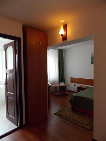 Двухместный (Стандартный двухместный номер с 1 кроватью), Hotel Amadeo with bathroom