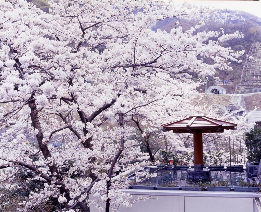 Hotel Kurobe photo 1