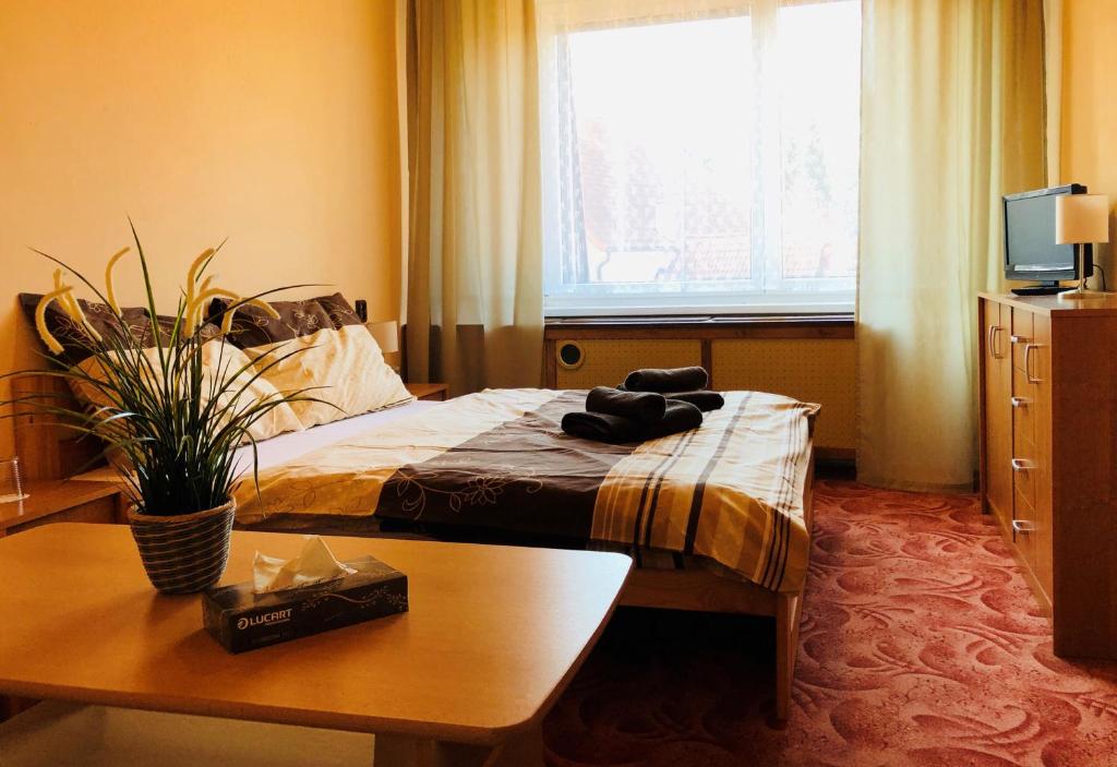 Hotel Slatina photo 4