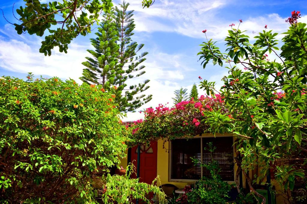 The Desoto - Oceanview Inn