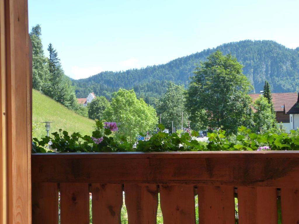 Suzanne's B&B & Gardens photo 1