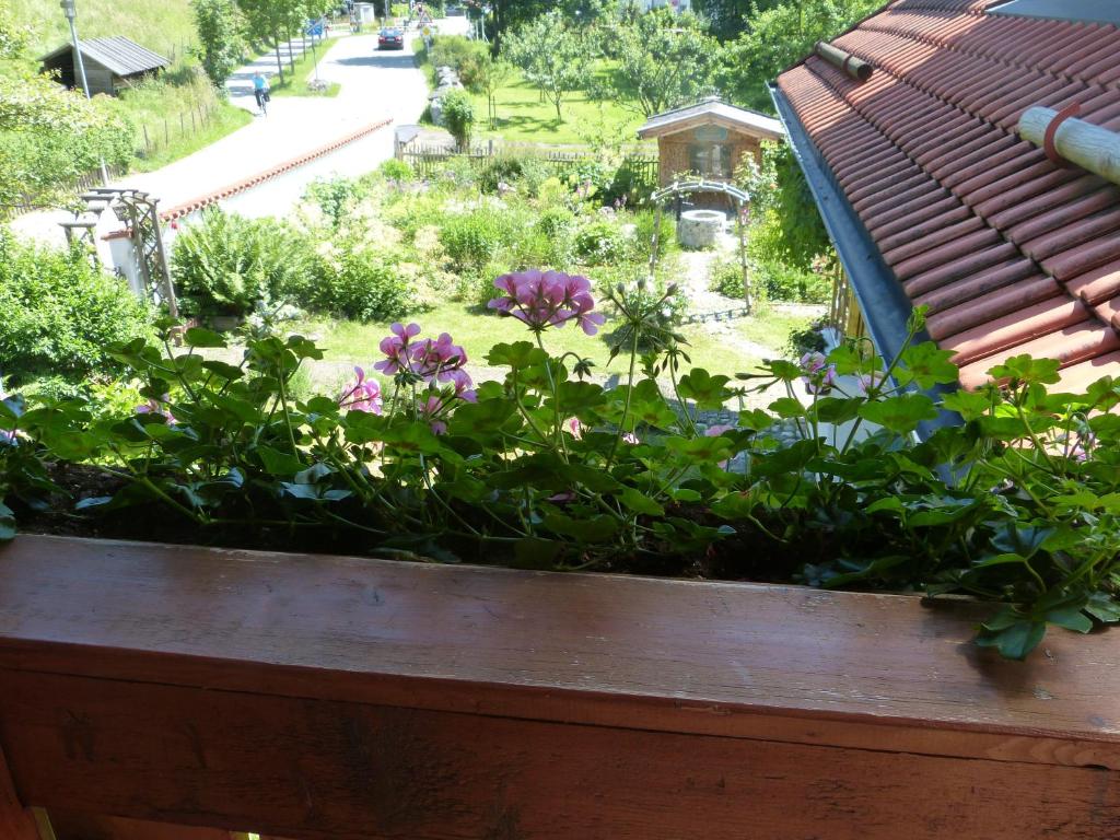 Suzanne's B&B & Gardens photo 2