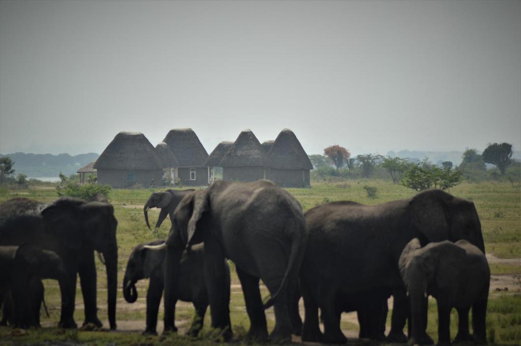 Kasenyi Lake Retreat & Campsite photo 1