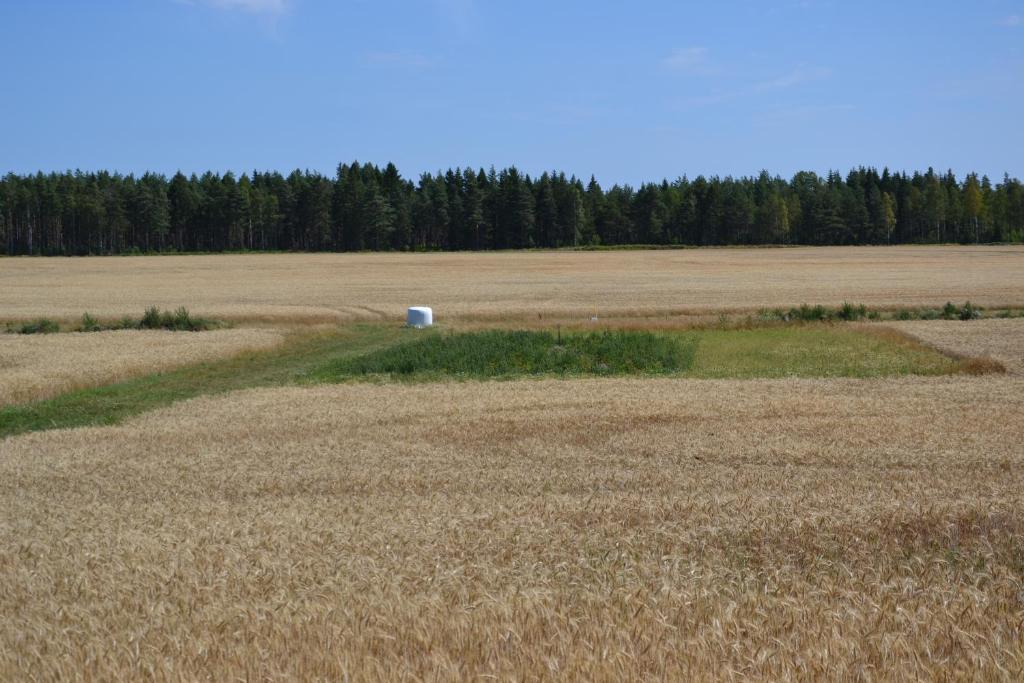 Värmlandsnäs Valdersrud Stenröse photo 2
