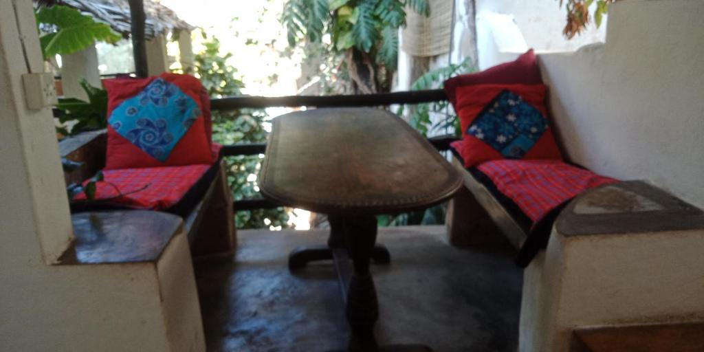 Wildebeeste Lamu photo 4