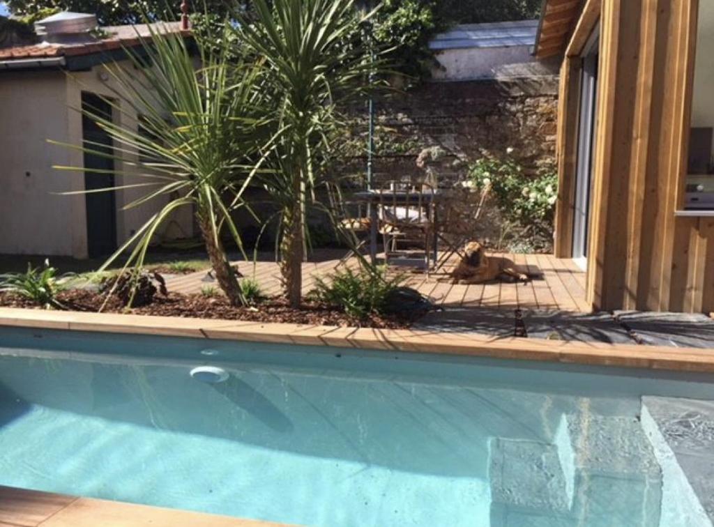 Le Nid du Héron, gîte urbain avec piscine chauffée photo 4