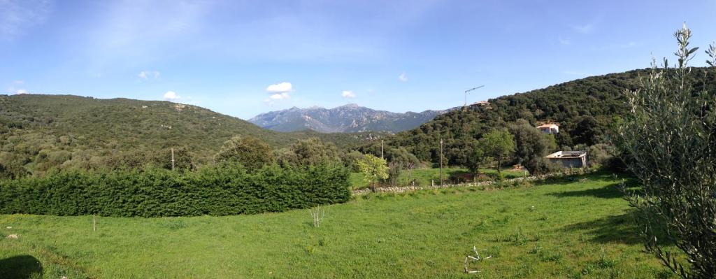 Orasi, Sartene, gîte dans villa climatisée tout confort photo 4