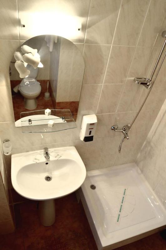 Двухместный (Стандартный двухместный номер с 1 кроватью), Hotel Amadeo with bathroom
