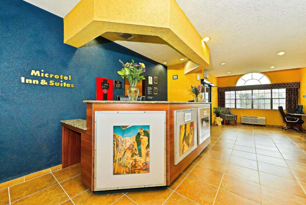 Microtel Inn & Suites by Wyndham New Braunfels I-35 photo 3