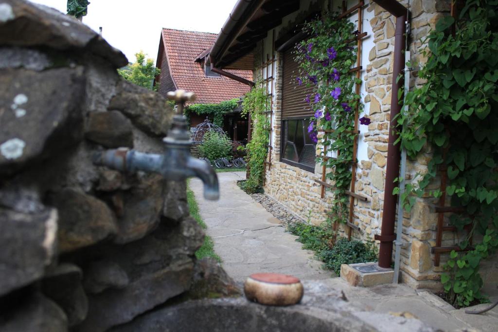 penzion ROSETA photo 3