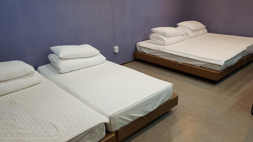Студио (Номер-студио - Подвал), Soo Song Guest House