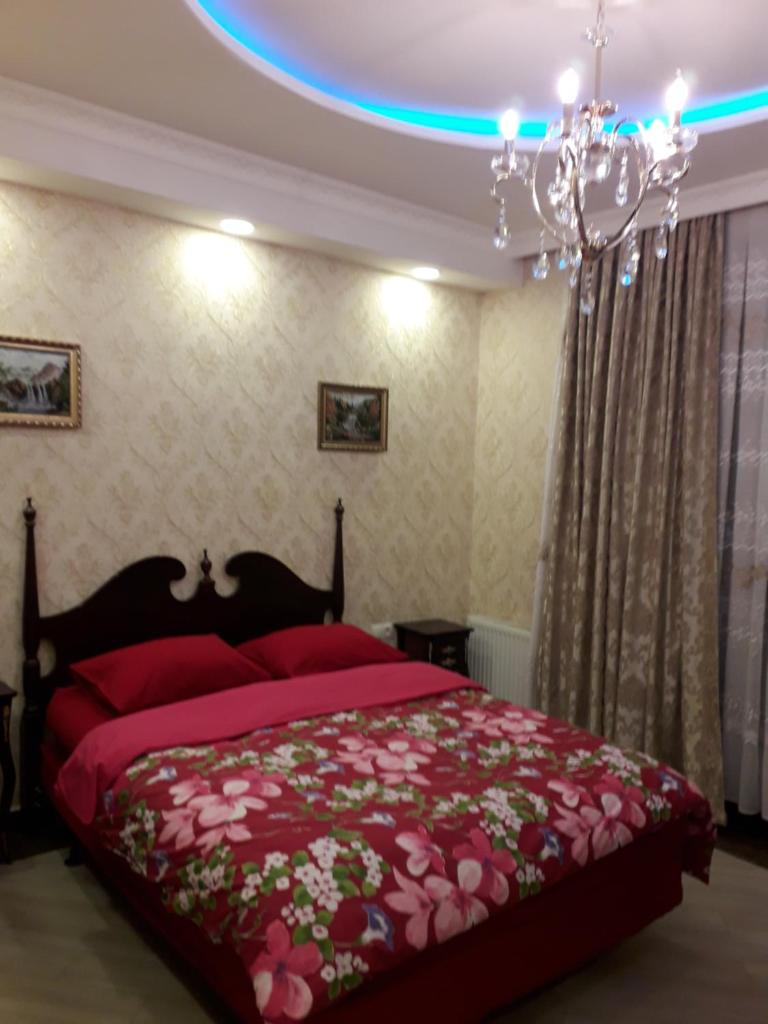 2 Room Deluxe Apartment in Bakuriani photo 1