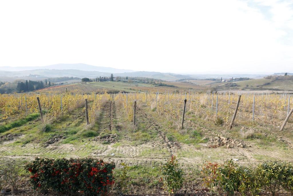 AZ.AGR.POGGIO REGINI photo 2