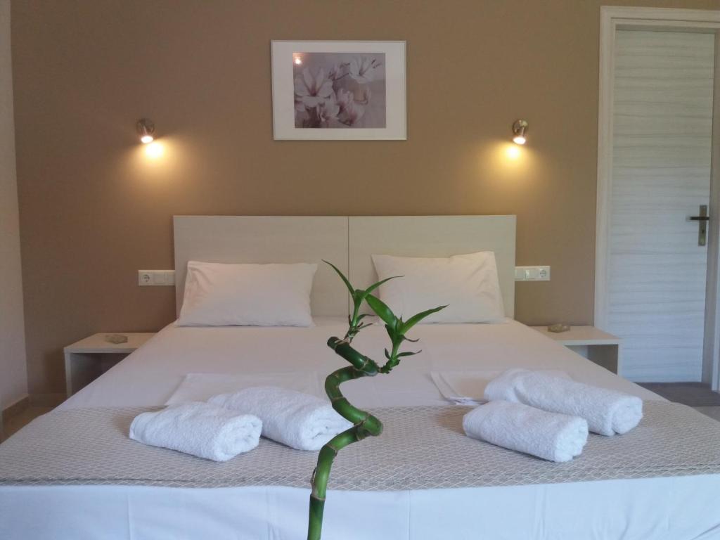 Dimitriou Rooms photo 4