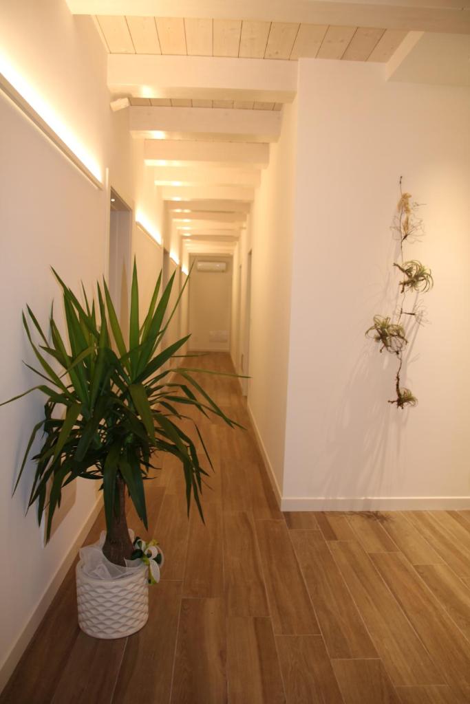 Casablanca Hotel photo 2