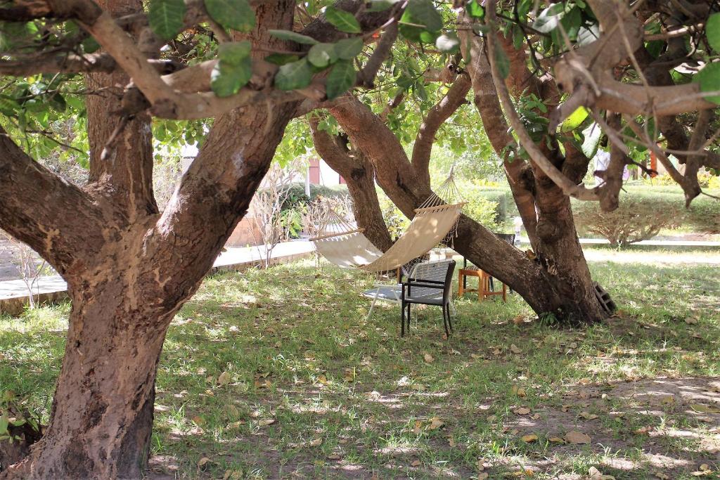 Yuna Village Garden Resort photo 3