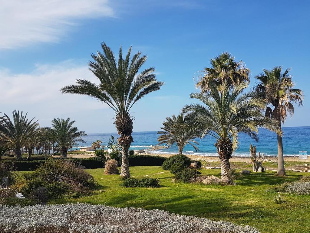 Sea front Villa Vera photo 4